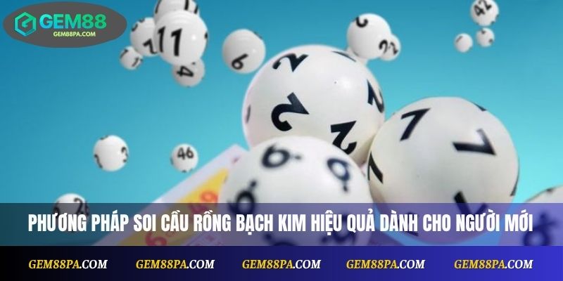 Soi Cầu Rồng Bạch Kim Chuẩn Xác Nhất Cho Người Chơi Mới 3 Phương pháp soi cầu Rồng Bạch Kim hiệu quả dành cho người mới
