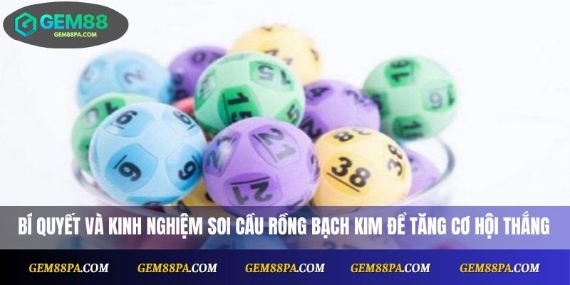 Soi Cầu Rồng Bạch Kim Chuẩn Xác Nhất Cho Người Chơi Mới 4 Bí quyết và kinh nghiệm soi cầu Rồng Bạch Kim để tăng cơ hội thắng