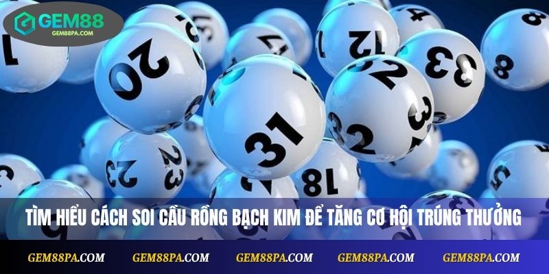 Soi Cầu Rồng Bạch Kim Chuẩn Xác Nhất Cho Người Chơi Mới 1 Soi Cầu Rồng Bạch Kim